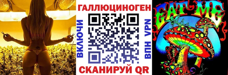 Купить закладки  Тимашёвск  Псилоцибиновые грибы Magic Shrooms 